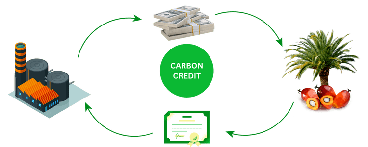 pengolahan limbah cair pabrik kelapa sawit PT Aqua Jaya Sumber