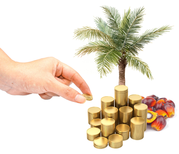 Sistem Berbasis IaaS dalam Pengolahan Limbah Cair Pabrik Minyak Kelapa Sawit