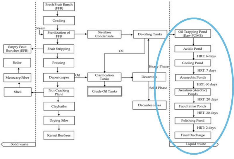 pengolahan limbah cair pabrik kelapa sawit PT Aqua Jaya Sumber