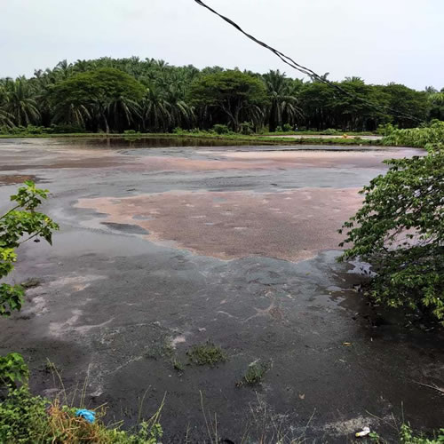 Tim Ahli PT Aqua Jaya Sumber: Mengunjungi Kolam Limbah Cair Pabrik Kelapa Sawit di salah satu Pabrik yang berada di Medan