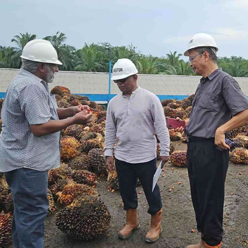 Tim Ahli PT Aqua Jaya Sumber: Mengunjungi Pabrik Kelapa Sawit di salah satu Pabrik yang berada di Sintang pada tanggal 12 Oktober 2023