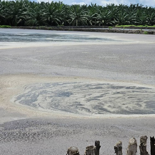 Tim Ahli PT Aqua Jaya Sumber: Mengunjungi Pabrik Kelapa Sawit di salah satu Pabrik yang berada di Kapuas pada tanggal 5 Maret 2024