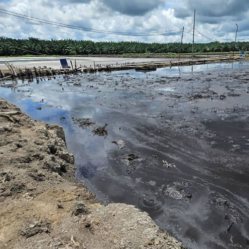 Tim Ahli PT Aqua Jaya Sumber: Mengunjungi Pabrik Kelapa Sawit di salah satu Pabrik yang berada di Kapuas pada tanggal 5 Maret 2024